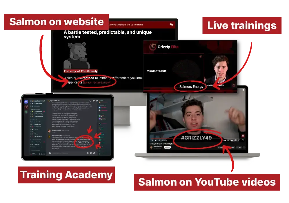 joaquin revello portrait